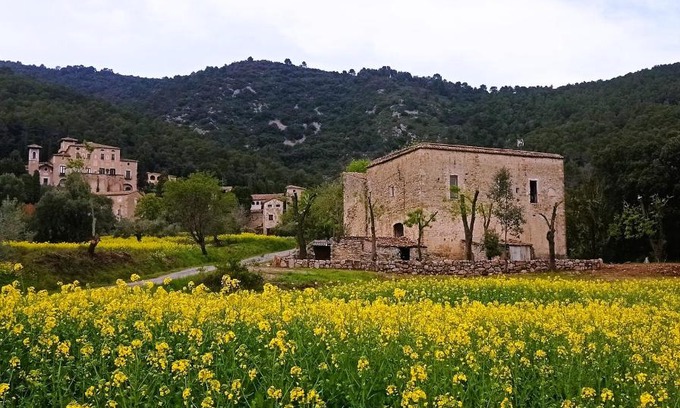 Seguero Apartment | El Castell de Segueró