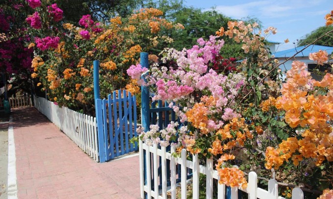 Data de Villamil Hotel | El Jardín de Playas