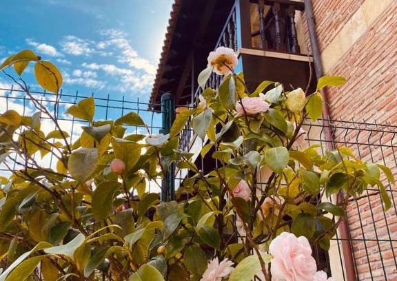Comillas City Center Hotel | El Tejo de Comillas