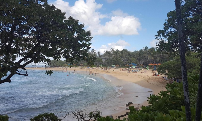 Kahuku Condo | Elegant Condo! Best Location -Exceptional! New Bath! Legal Rental NUC 90TVU-0562