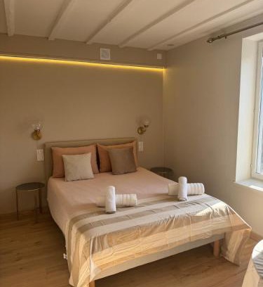 Aix-les-Bains City Center Apartment | Elegant studio between train station and city center
