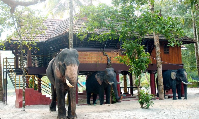 Cherthala House | Elephant Courtyard- A Heritage Homestay