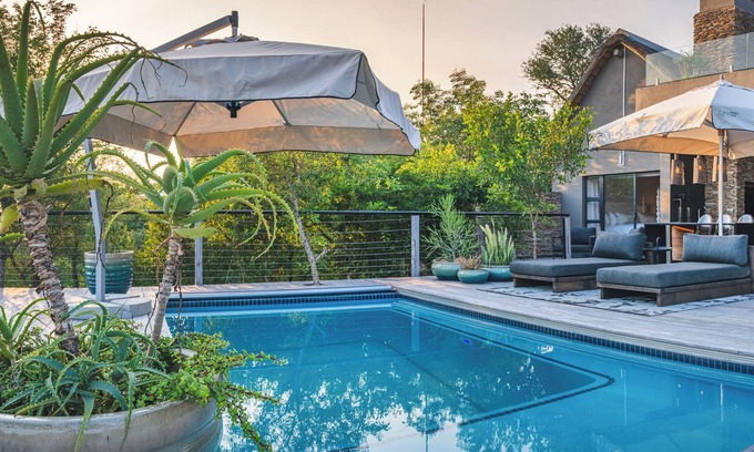 Belfast House | Elephant Point