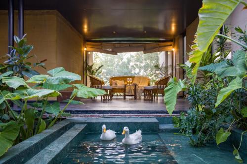 Bassi Villa | ELIVAAS Hari Bagh 4 BHK Villa with Gaming Zone & Art Nook