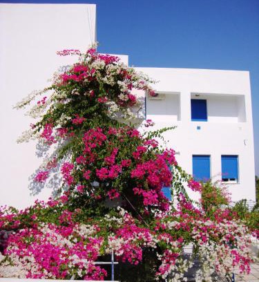 Agios Emilianos Apartment | Emilianos Studios 103