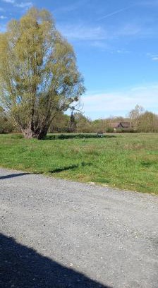 Beaufay Other | emplacement pour toile de tente