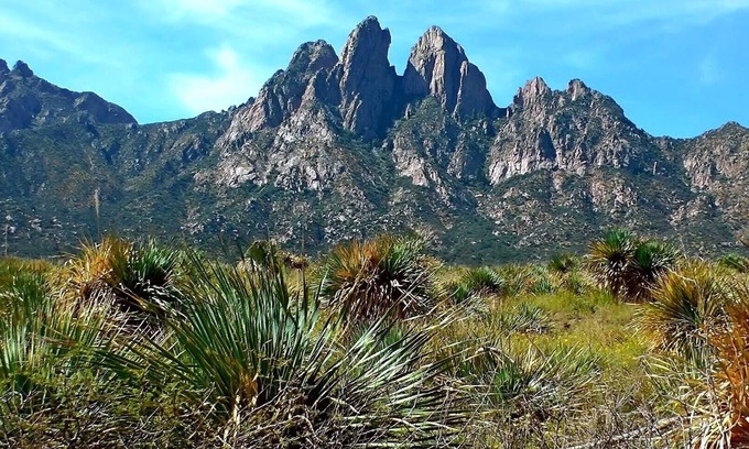 Mesilla Park Condo | Encanto de Mesilla - Comfort and Taste!