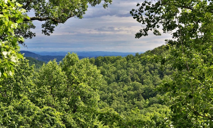 Gatlinburg - Pigeon Forge Cabin | Enchanted 2BR/2BA, Pets OK!