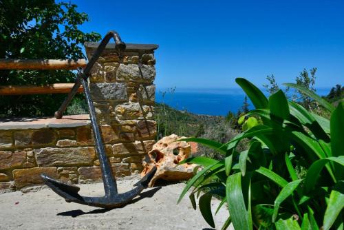 Ikaria Apartment | Endless green 1 Arethousa Ikaria