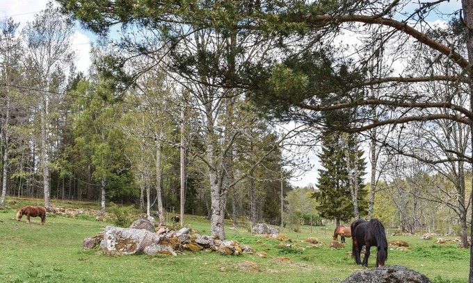 Kisa House | Enjoy a holiday close to nature and plenty of peace and quiet in this holiday home near Kisa.