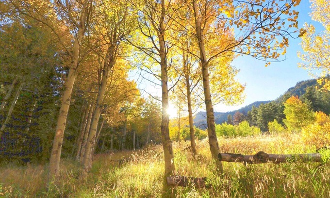 Lake George House | Enjoy a "Weekend in the Wild" in a Conestoga Wagon