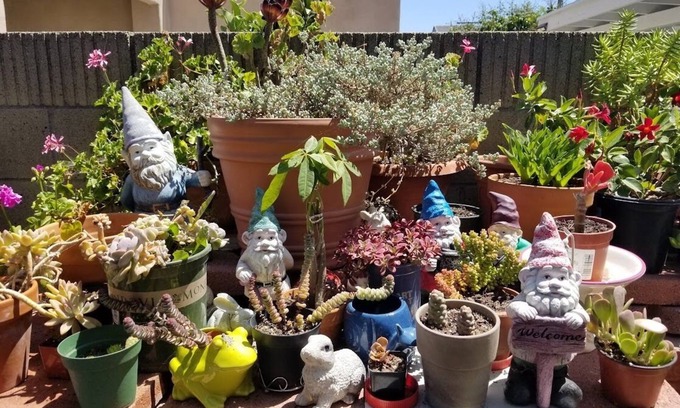 Midway City House | Entire Cozy Home with Enclosed Patio Near Disneyland