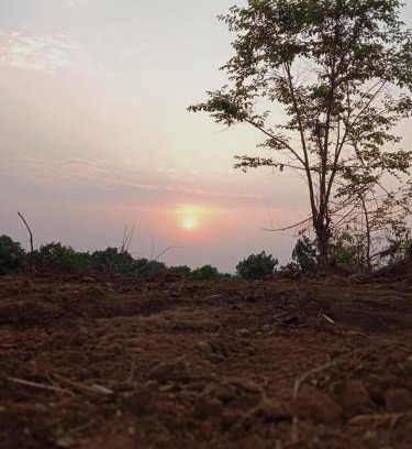 Murbad Other | Entire Private Farm on Rent 2 Acre with 3 Room, it's Kittu's Farm