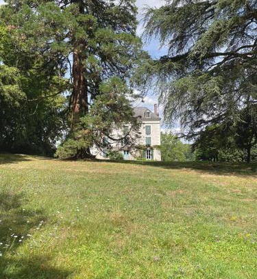 Saint-Regle Bed & Breakfast | Entre les branches