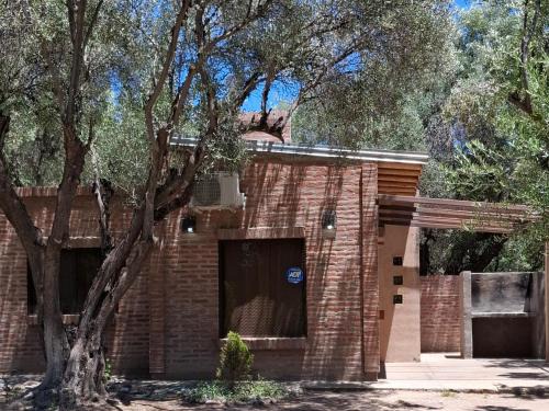 Cuadro Nacional House | Entre Olivos