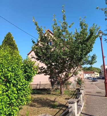 Sarralbe Apartment | Entre sarre et albe chez stelvia