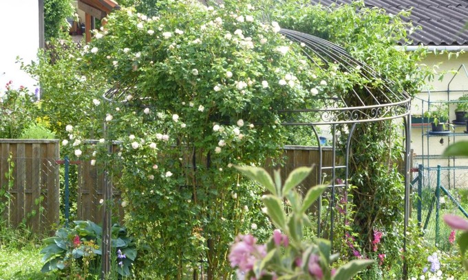 Dennach Apartment | Enzkreisspitze Garten