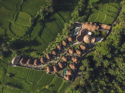 Kenderan Resort | Equipoise Resort Ubud by Ini Vie Hospitality - Adult Only