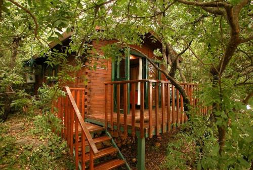 Amirim House | Eretz Hagalil - Land of Galilee