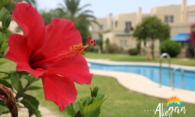 Vista de los Angeles-Rumina Apartment | 75 m² Apartment ∙ 2 bedrooms ∙ 4 guests