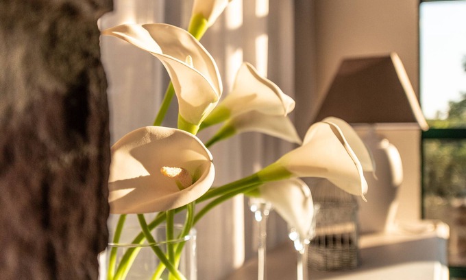 Le Bosc Bed & Breakfast | Escale au Salagou, Grand Gite Atypique de 250 m²