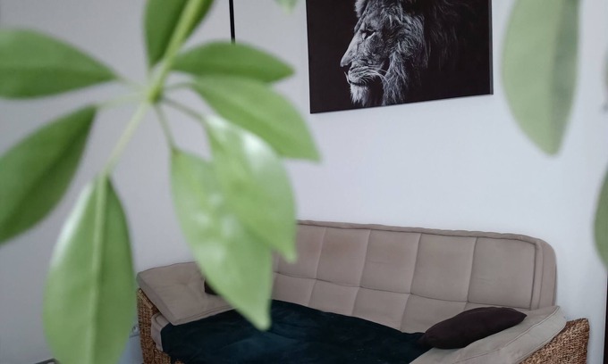 Blois Apartment | Escapade Blesoise