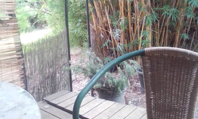 Blue Knob Apartment | Escape to a beautiful, bushland setting in the rainforest. 5ks to village
