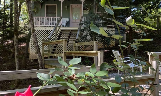 Blairsville Cottage | Escape to Pet-Friendly Studio Cabin near Helen, Blue Ridge & Appalachian Trail