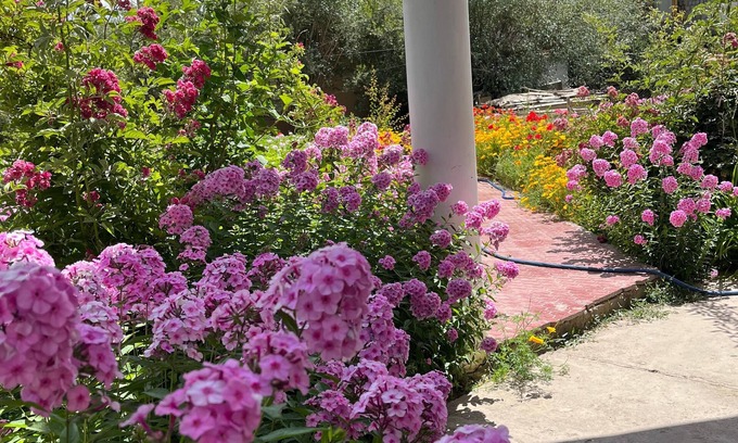 Leh Apartment | "Escape to Serenity: A Charming Garden Home Stay Retreat"