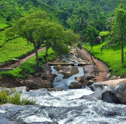 Wellington House | Estate Bungalow with Waterfall, Mountain & Valley Views