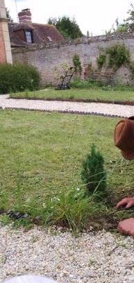 Coulonces Bed & Breakfast | ESYOM'l