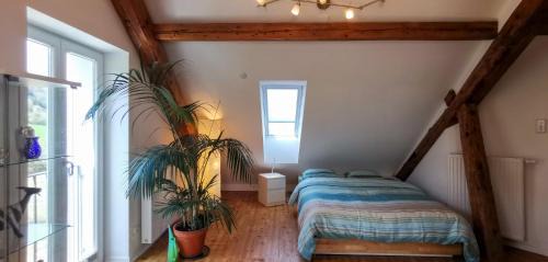 Klettgau Apartment | Exklusive Penthouse Wohnung, nahe zur Schweiz