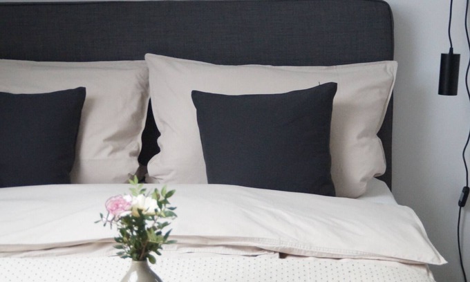 Serach Apartment | F&E | cozy & central accommodation