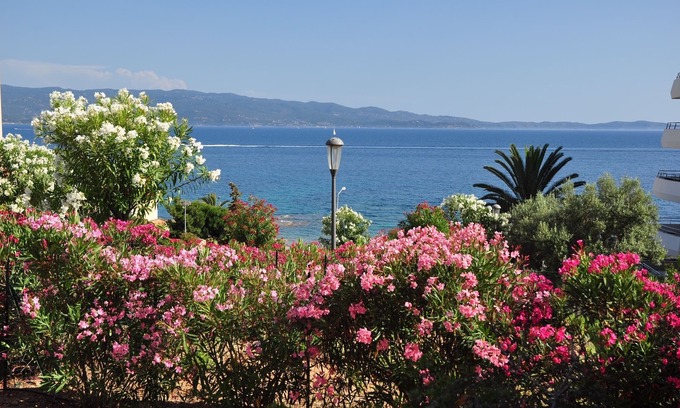 Ajaccio Apartment | F2, TerraceView Sea, Beach 50m, Wifi, Clim, Rte des Îles, Quiet