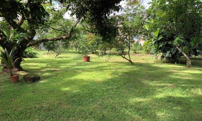 Le Lamentin Apartment | F3 apartment with garden view close to all amenities.