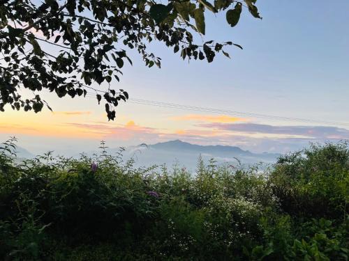 Fagu House | FAAGU HILLS Homestay
