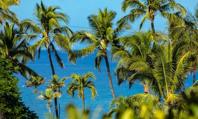 Wailea Condo | Fabulous Condo with Amazing Ocean Views - Building 22! Remaining 2025 $350