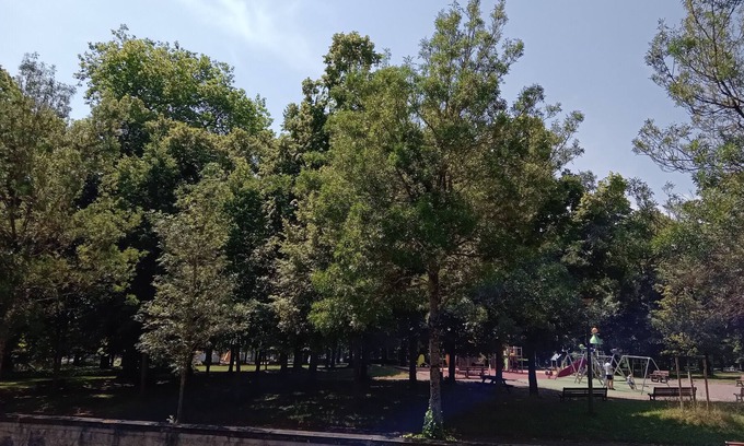 Nevers Apartment | Facing the Park on the Sanctuary side