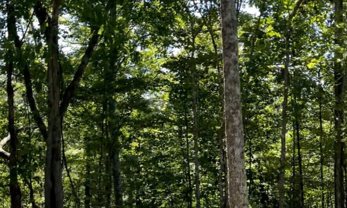 Louisa RV Rental | Fallsburg Frontier Campground Site #4