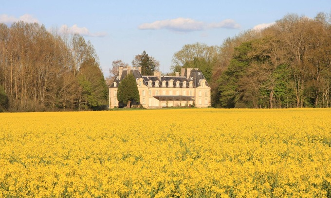 Tendron Other | Family Castle in Fontenay