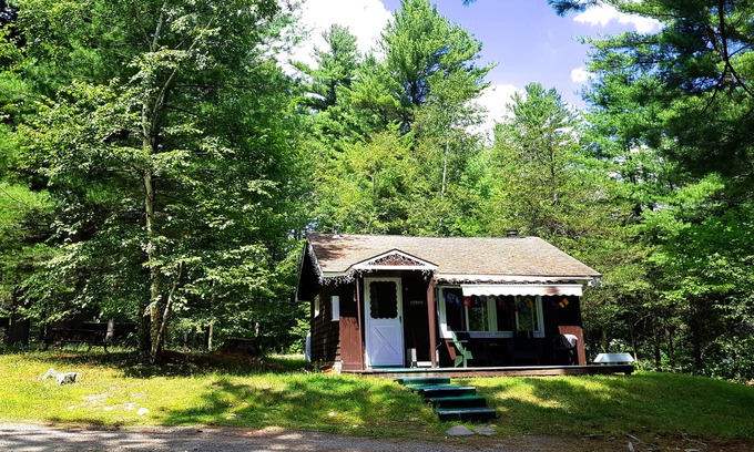 Wilmington Ski Chalet | Family Chalet with Fireplace under Pine trees