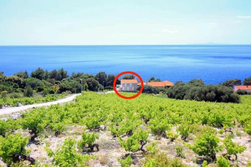 Orebic Apartment | Family friendly seaside apartments Dingac - Borak, Peljesac - 18060