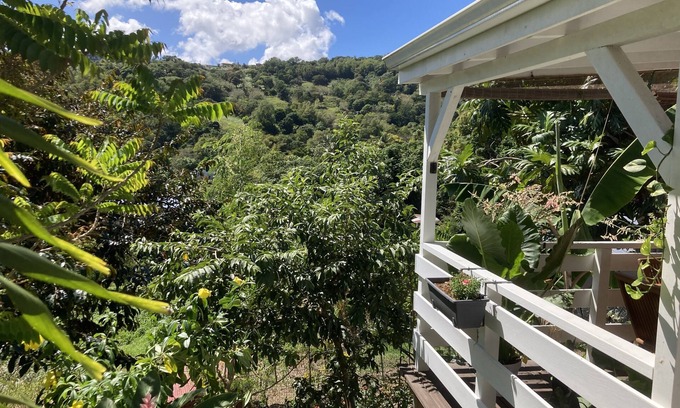 Le Vauclin Apartment | Family or couple rental in a magnificent studio with countryside view.