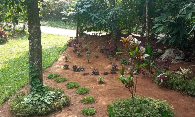 Vayittiri House | Family Villa is a hut Style Accommodation