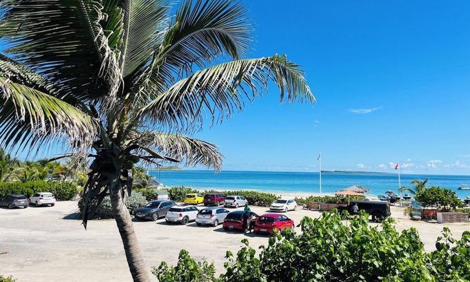 Orient Bay Apartment | Fanny 3, Oriental Bay village square, front row sea view!