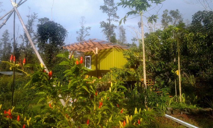 Hawaiian Acres Cabin | Faris' Forest