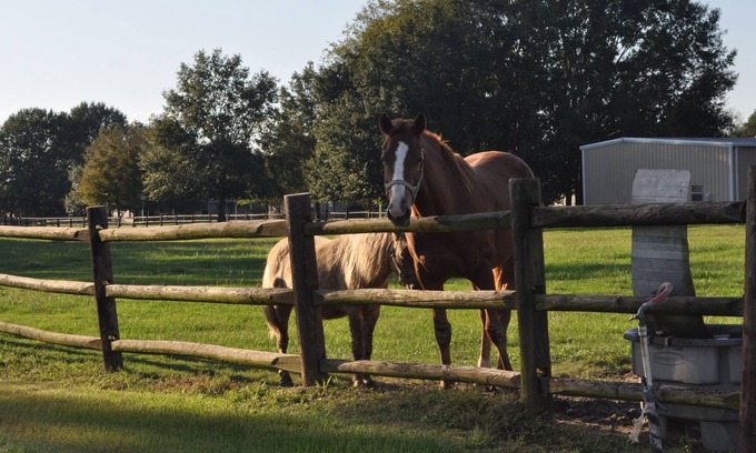Scott House | Farm Charm Enjoy the Great Scenery
