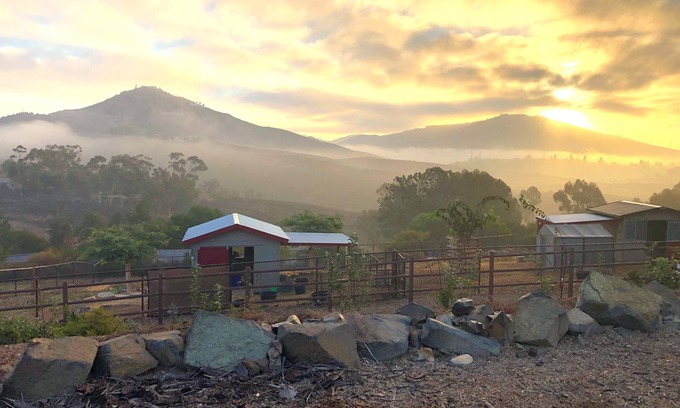 Encinitas House | Farm Sanctuary Stay 20 min to the Beach. On 2.5 acres