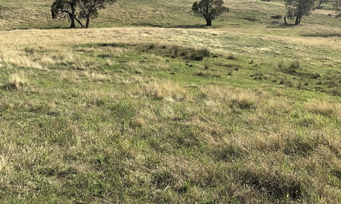 Adaminaby Other | Farm Stay in the Snowy Mountains