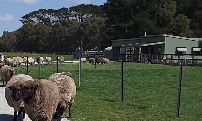 Taralga Cottage | Farmstay at Fleece, Flock & Fibre an historic railway station in Taralga